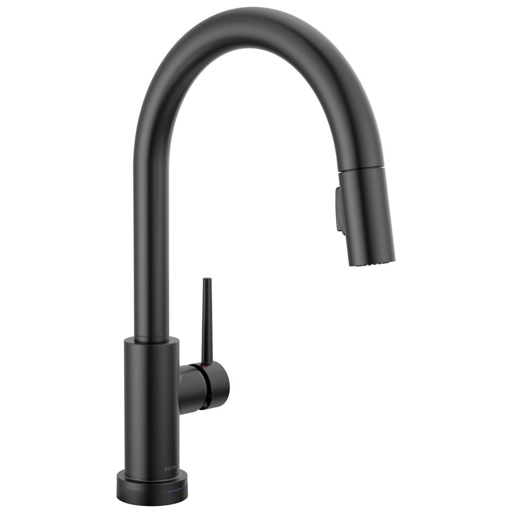 Delta Faucet Trinsic® VoiceIQ® Kitchen Faucet with Touch2O® with Touchless Technology