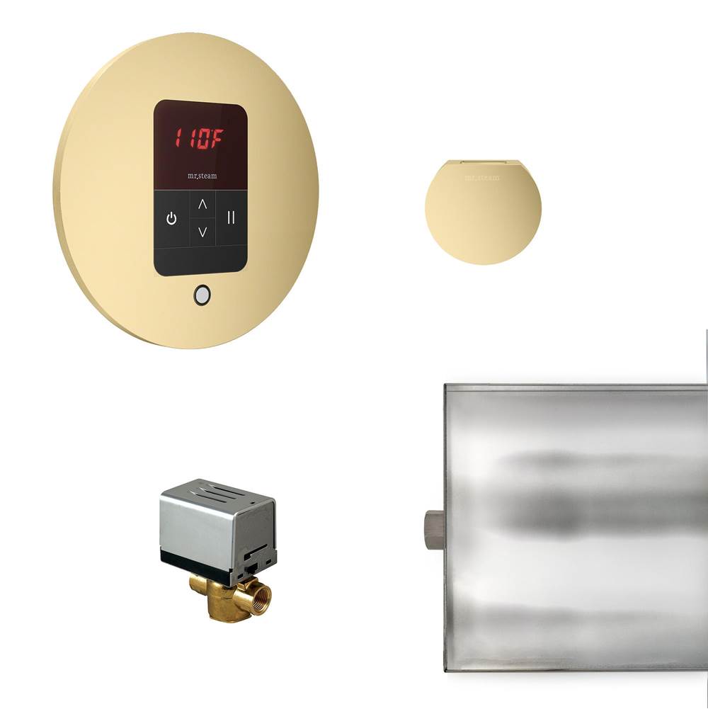 Mr. Steam Basic Butler Steam Shower Control Package with iTempo Control and Aroma Designer SteamHead in Round Satin Brass