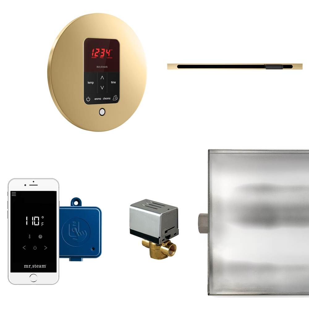 Mr. Steam Butler Linear Steam Shower Control Package with iTempoPlus Control and Linear SteamHead in Round Polished Brass