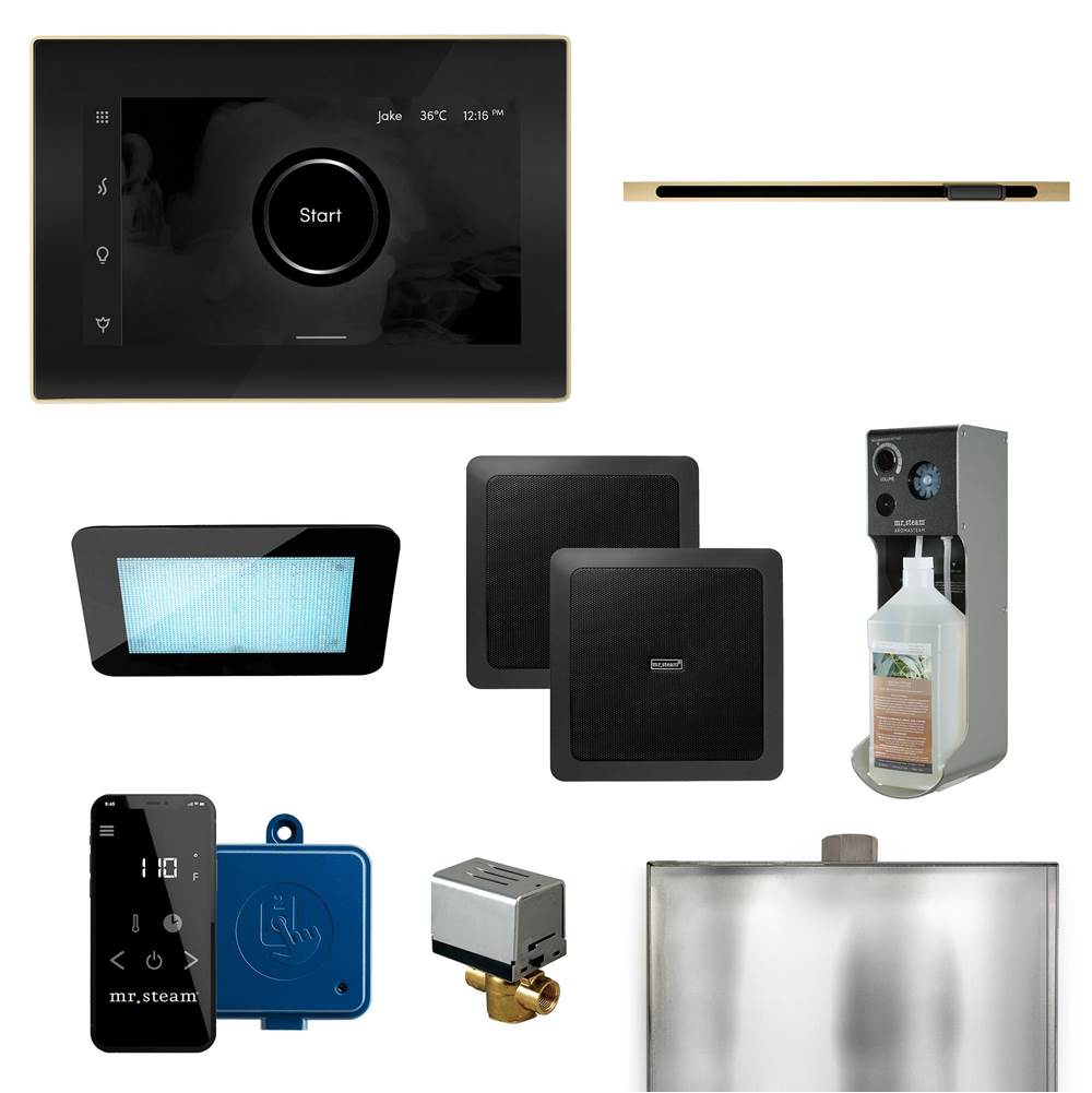 Mr. Steam XDream Linear Programmable Steam Generator Control Kit with iSteamX Control and Linear Steamhead in Black Satin Brass